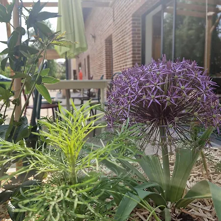 Au Des Lys D'hotes Panzió